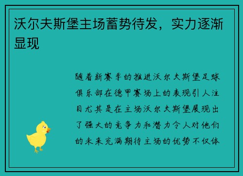 沃尔夫斯堡主场蓄势待发，实力逐渐显现